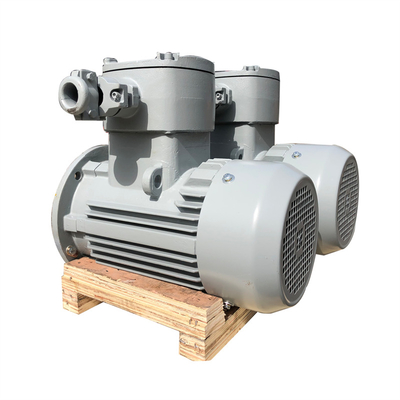 Industry Application Explosion Proof Three Phase Asynchronous Flame Proof Electric Motor